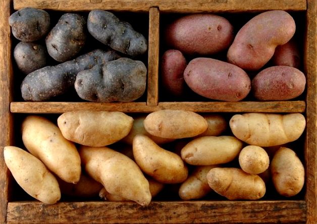 Как сохранить картошку на балконе зимой